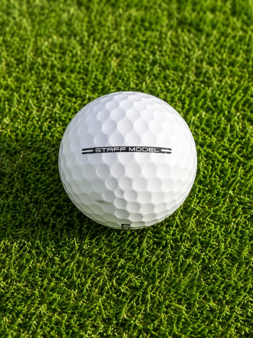 Wilson Staff Model