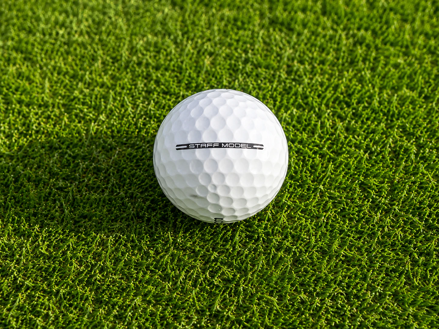 Wilson Staff Model